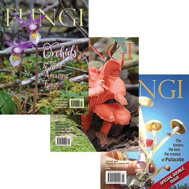 Fungi Magazine Subscriptions